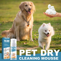 Pet Dry Shampoo Mousse 