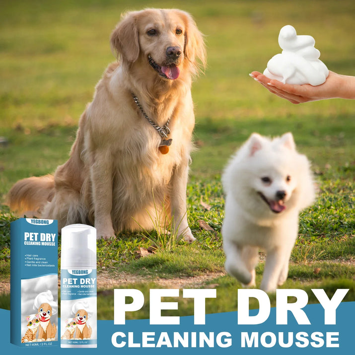 Pet Dry Shampoo Mousse 