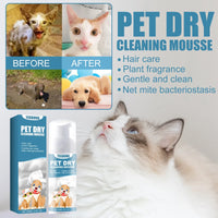 Pet Dry Shampoo Mousse 